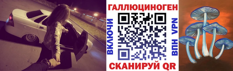 как найти закладки  Жуковка  Галлюциногенные грибы Psilocybine cubensis 
